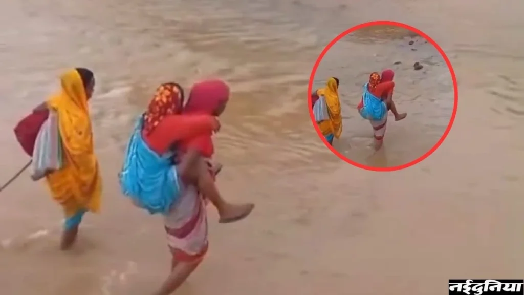 बारिश में बह गया विकास’…एक साल से बेखबर प्रशासन, प्रसूता को पीठ पर लाद कर डेढ़ किमी पैदल चली मितानिन