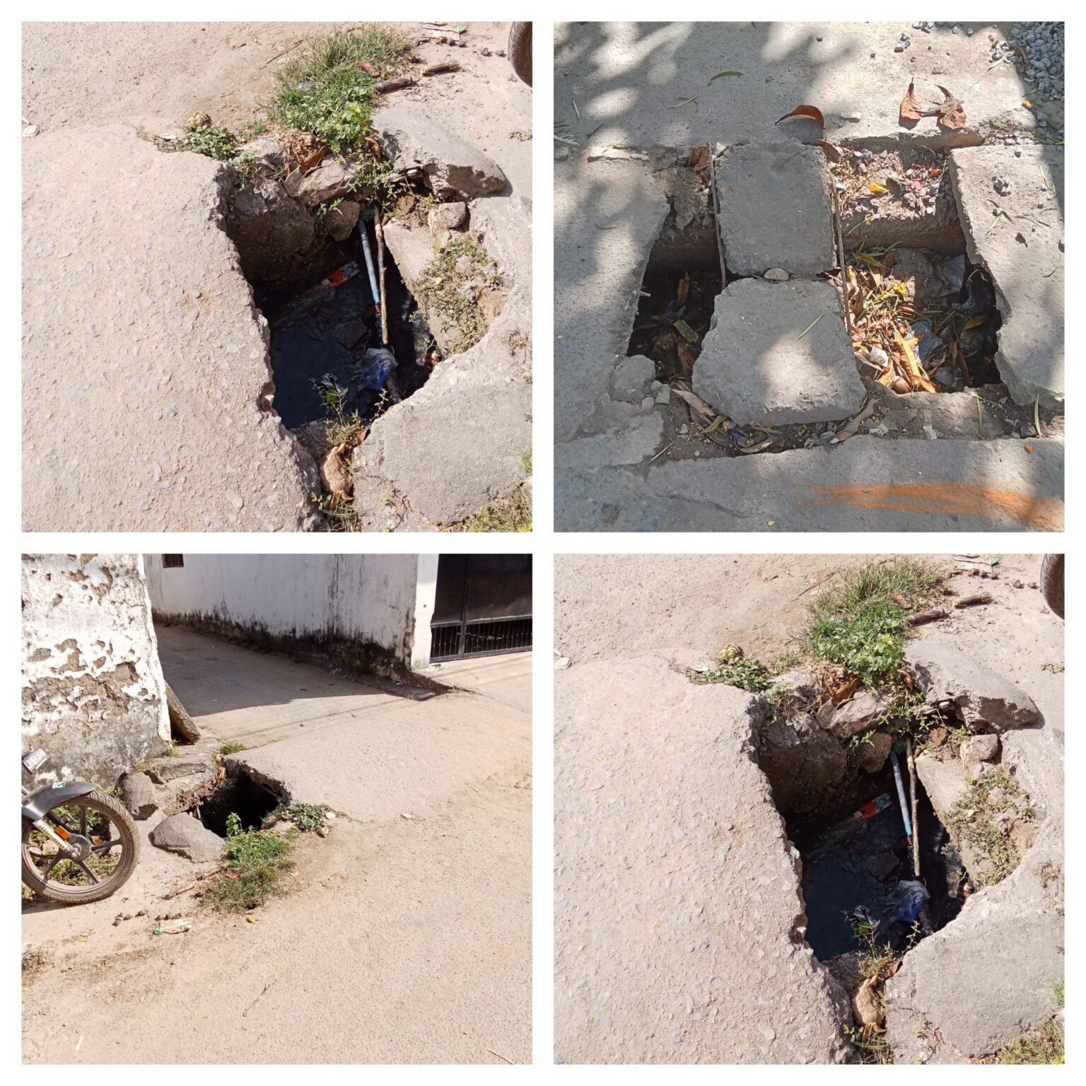 वार्ड नंबर 7 की सड़कों पर खतरे का आलम—खुले गड्ढों से हादसे का इंतज़ार, नगर निगम बेपरवाह”