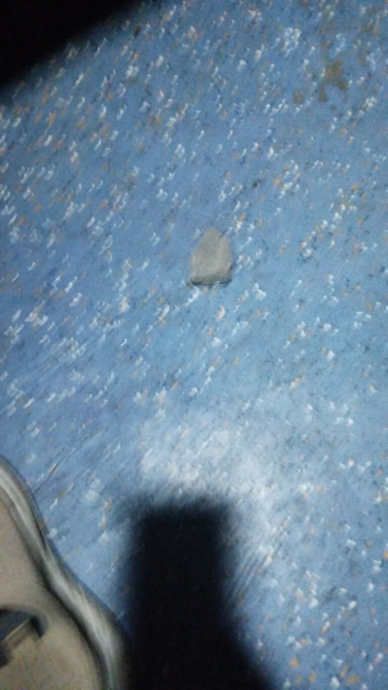 शिवनाथ एक्सप्रेस के एसी-3 कोच पर पथराव, कापन स्टेशन के पास दहशत