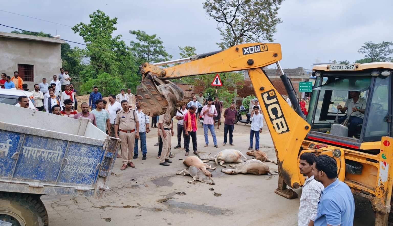 चेतावनी के बाद भी नहीं जागा प्रशासन, अब 6 गौमाताओं की दर्दनाक मौत
