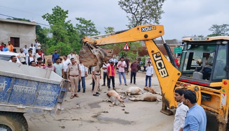 चेतावनी के बाद भी नहीं जागा प्रशासन, अब 6 गौमाताओं की दर्दनाक मौत