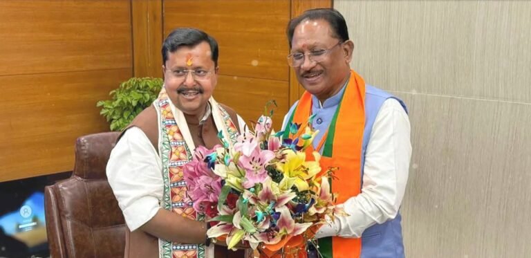 छत्तीसगढ़ बीजेपी का अगला प्रभारी कौन? नितिन नबीन के बाद बढ़ी सियासी हलचल